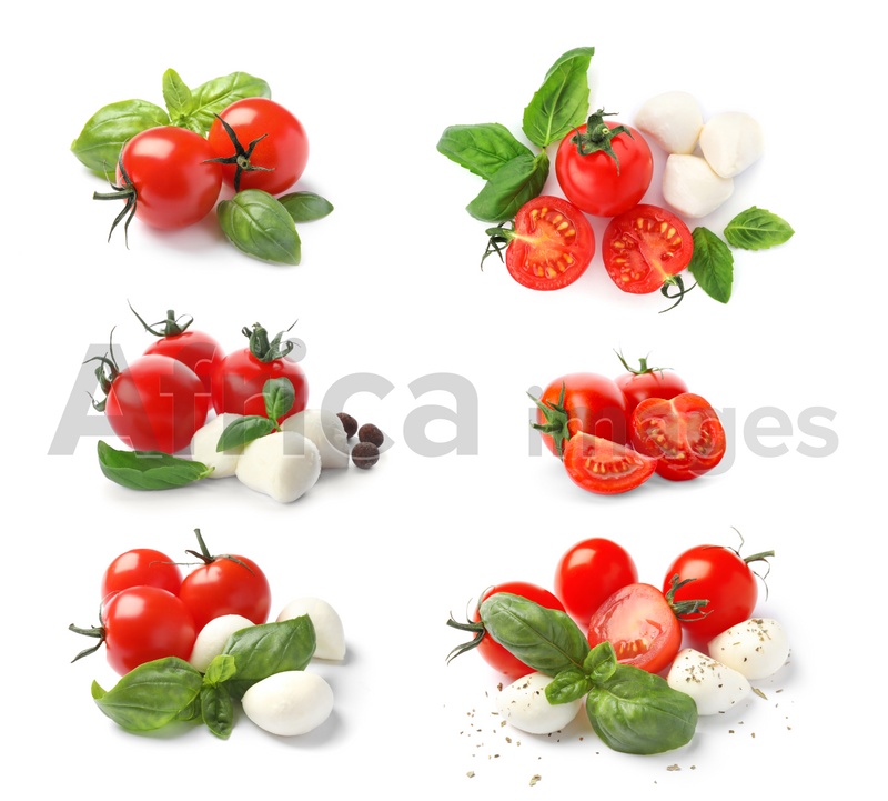 Set of ripe red tomatoes, basil leaves and mozzarella balls on white background