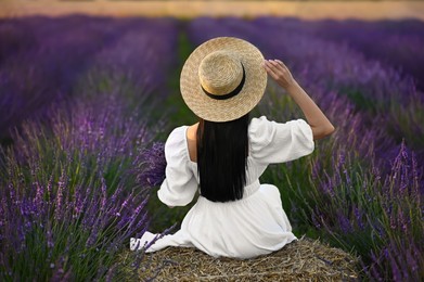 Woman sitting on hay bale in lavender field, back view