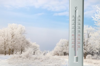 Weather thermometer and view of snowy forest, space for text
