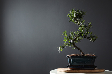 Japanese bonsai plant on table, space for text. Creating zen atmosphere at home