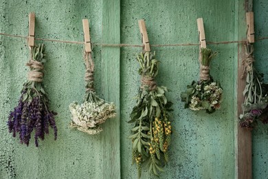 Bunches of different beautiful dried flowers hanging on rope near old wooden wall