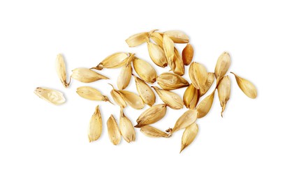 Pile of wheat grains on white background, top view