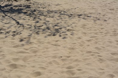 Shadow of tree on beach sand during sunny day