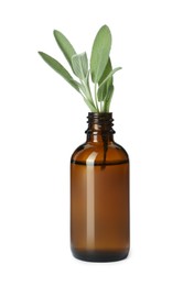 Bottle of essential oil and sage isolated on white
