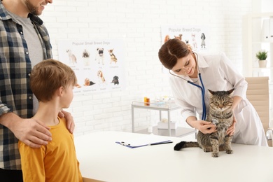 Father and son with their pet visiting veterinarian in clinic. Doc examining cat