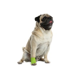 Cute pug dog with paw wrapped in medical bandage on white background