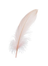 Fluffy beautiful beige feather isolated on white