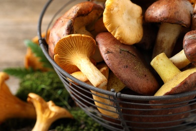Different wild mushrooms in basket on table, closeup