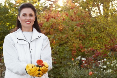 Photo of Woman in gardening gloves holding pile of soil with flowers outdoors, space for text