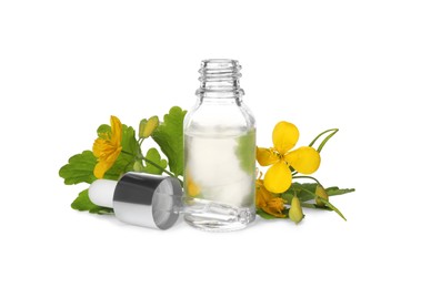 Bottle of essential oil, pipette and celandine on white background