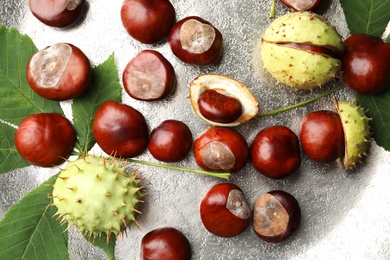Photo of Horse chestnuts and leaves on plate, flat lay