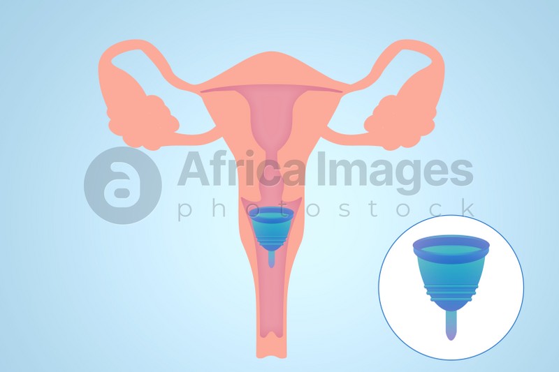 Instruction how to use menstrual cup during period. Female reproductive system on light blue background, illustration