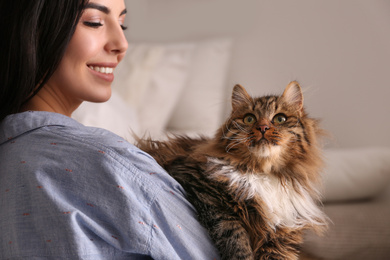 Woman with her cute cat at home, closeup. Fluffy pet