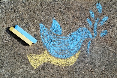 Bird drawn by blue and yellow chalk with sticks on asphalt, flat lay