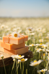 Bars of soap on wooden table in chamomile field