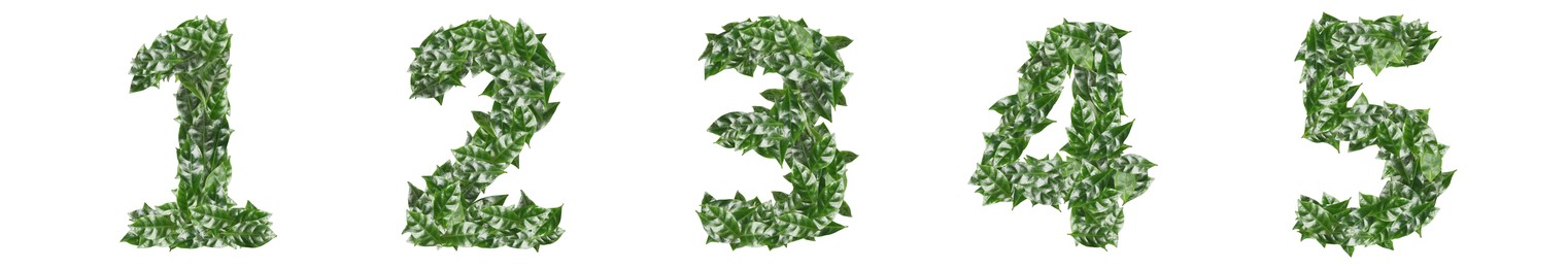 Numbers made of fresh green leaves on white background. Banner design