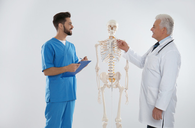 Professional orthopedist with human skeleton model teaching medical student against light background