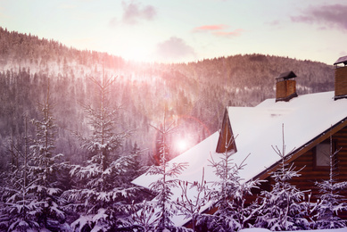 Beautiful snowy forest and cottage on winter day