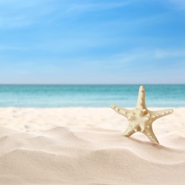 Beautiful sea star on sandy beach. Space for text 
