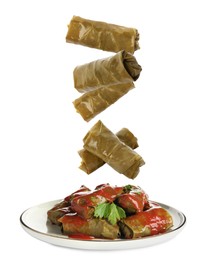 Delicious stuffed grape leaves falling into plate on white background 