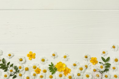 Beautiful daisy flowers and leaves on white wooden background, flat lay. Space for text