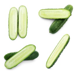 Set with cut ripe cucumbers on white background