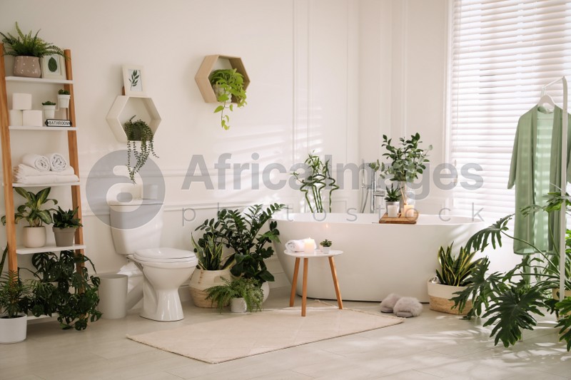 Stylish white bathroom interior with toilet bowl and green houseplants