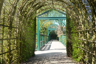 Path with green arch through beautiful garden