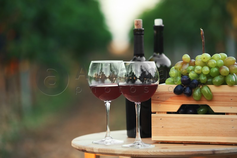 Bottles and glasses of red wine with fresh grapes on wooden table in vineyard