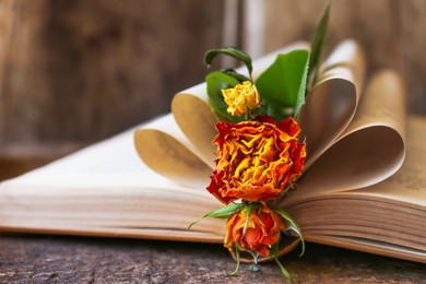 Open book with folded pages and beautiful dried flowers on wooden table, closeup