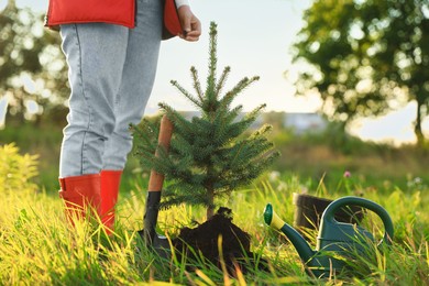 Woman near newly planted conifer tree, watering can and shovel in meadow on sunny day, closeup