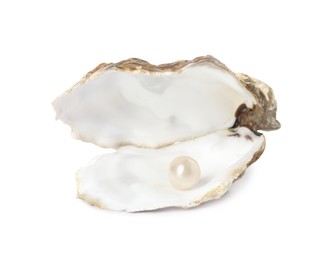 Open oyster shell with pearl on white background