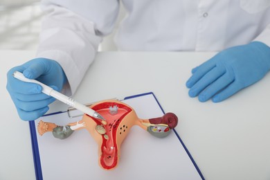 Gynecologist demonstrating model of female reproductive system at table, closeup