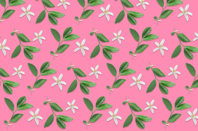 Image of Pattern of citrus flowers and leaves on pink background