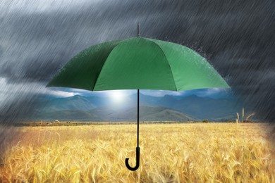 Open green umbrella under heavy rain in wheat field 