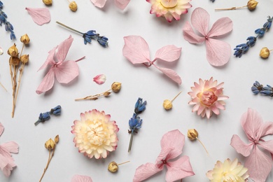 Flat lay composition with beautiful dried flowers on light background
