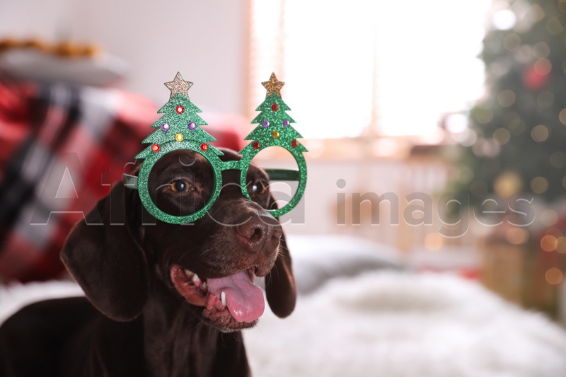 Cute dog wearing Christmas eyeglasses at home, space for text