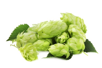 Pile of fresh green hops on white background