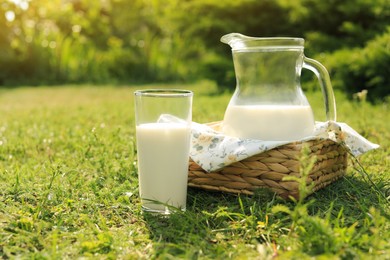 Jug and glass of tasty fresh milk on green grass outdoors, space for text