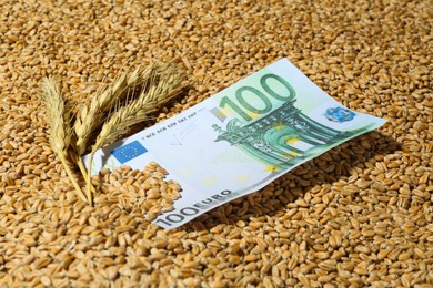Euro banknote and ears of wheat on grains. Global food crisis concept