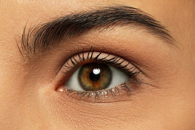 Photo of Woman with beautiful hazel eyes, closeup view