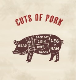 Butcher's guide: Cuts of pork scheme. Illustration of pig on beige background