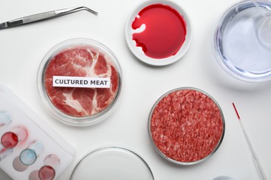Photo of Samples of cultured meats on white lab table, flat lay