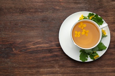 Cup of aromatic celandine tea and flowers on wooden table, top view. Space for text