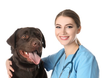 Veterinarian doc with dog on white background