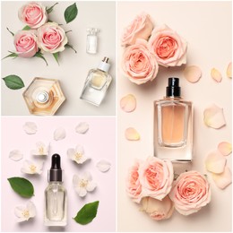 Beautiful collage with photos of luxury perfume and flowers represent their fragrance notes on different color backgrounds, top view
