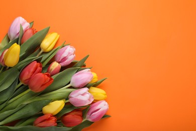 Photo of Beautiful colorful tulips on orange background, flat lay. Space for text