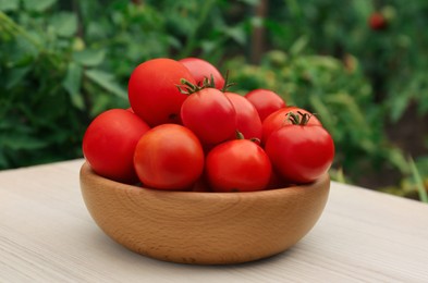 Bowl of ripe red tomatoes on light wooden table in garden