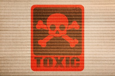 Hazard warning sign (skull-and-crossbones symbol and word TOXIC) on cardboard, top view