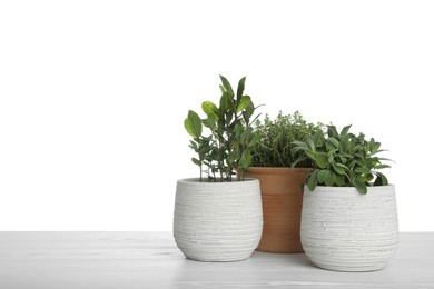 Photo of Pots with thyme, bay and sage on table against white background